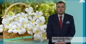 Vezér Mihály Ph.D. Százhalombatta Polgármestere Nőnapi Köszöntője