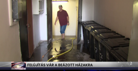 Híradó