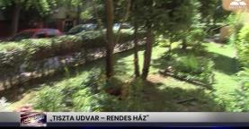 Híradó