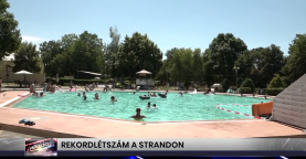 Híradó